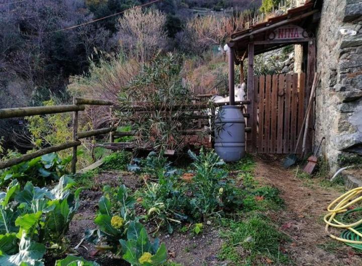 Villa La Casa Di Mo Albisola Superiore Exterior foto