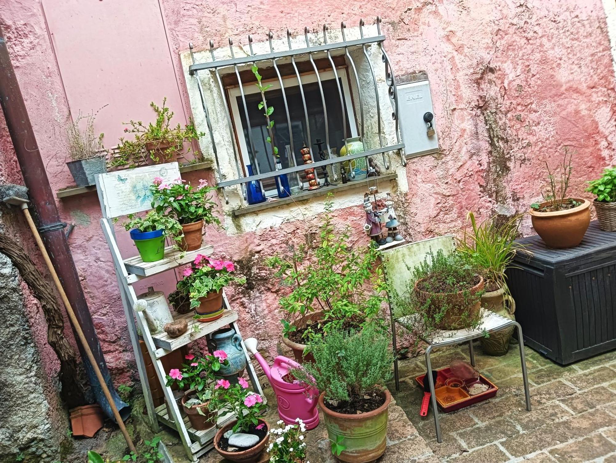 Villa La Casa Di Mo Albisola Superiore Exterior foto